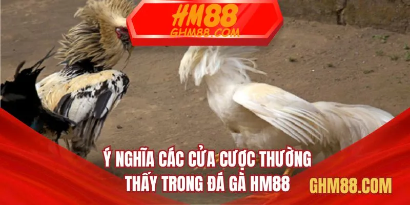 Ý nghĩa các cửa cược thường thấy trong đá gà HM88