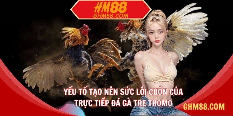 Yếu tố tạo nên sức lôi cuốn của trực tiếp đá gà tre Thomo